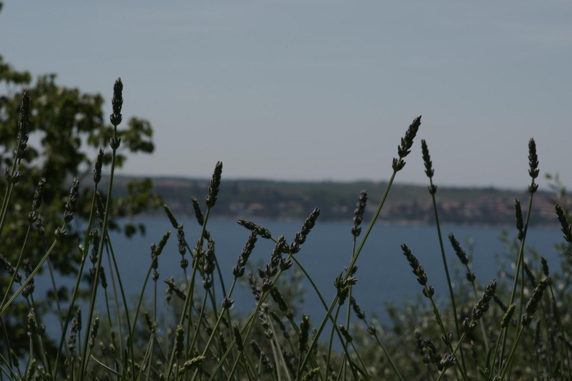 Apartments Hafner Portorož Buitenkant foto
